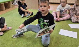 Sówki: Grudzień 2025 - Zdjęcie 122