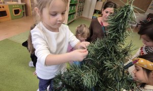 Sówki: Grudzień 2025 - Zdjęcie 123