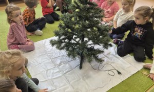 Sówki: Grudzień 2025 - Zdjęcie 134