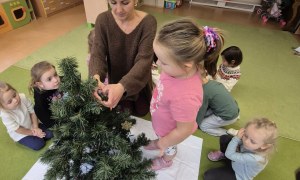 Sówki: Grudzień 2025 - Zdjęcie 139