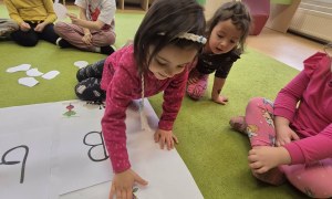 Sówki: Grudzień 2025 - Zdjęcie 140