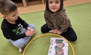 Sówki: Grudzień 2025 - Zdjęcie 154