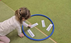 Sówki: Grudzień 2025 - Zdjęcie 155