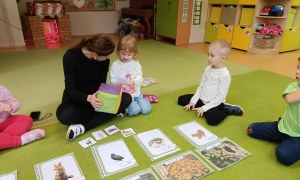 Sówki: Grudzień 2025 - Zdjęcie 157