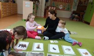 Sówki: Grudzień 2025 - Zdjęcie 162