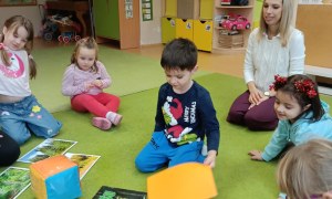 Sówki: Grudzień 2025 - Zdjęcie 163