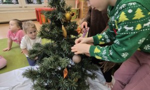 Sówki: Grudzień 2025 - Zdjęcie 164