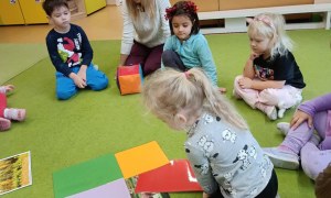 Sówki: Grudzień 2025 - Zdjęcie 166