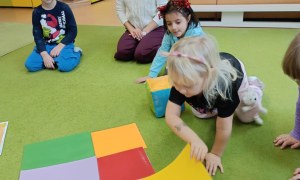 Sówki: Grudzień 2025 - Zdjęcie 169