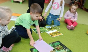 Sówki: Grudzień 2025 - Zdjęcie 171