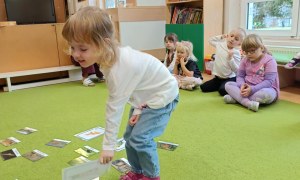 Sówki: Grudzień 2025 - Zdjęcie 173