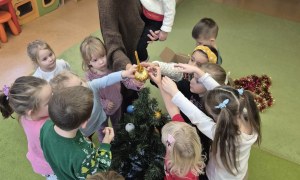 Sówki: Grudzień 2025 - Zdjęcie 174