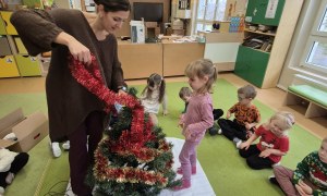 Sówki: Grudzień 2025 - Zdjęcie 175