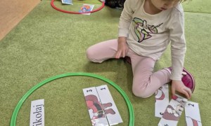 Sówki: Grudzień 2025 - Zdjęcie 179