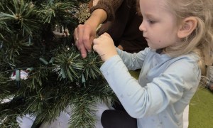 Sówki: Grudzień 2025 - Zdjęcie 180