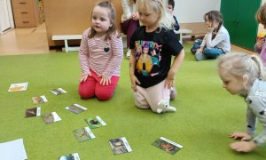 Sówki: Grudzień 2025 - Zdjęcie 187