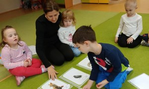 Sówki: Grudzień 2025 - Zdjęcie 188