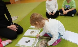 Sówki: Grudzień 2025 - Zdjęcie 195