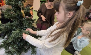 Sówki: Grudzień 2025 - Zdjęcie 196