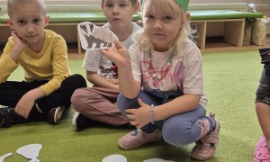 Sówki: Grudzień 2025 - Zdjęcie 211