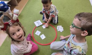 Sówki: Grudzień 2025 - Zdjęcie 214