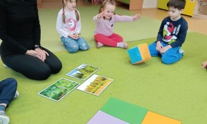 Sówki: Grudzień 2025 - Zdjęcie 216