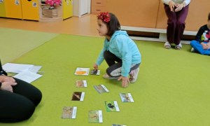 Sówki: Grudzień 2025 - Zdjęcie 223