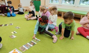 Sówki: Grudzień 2025 - Zdjęcie 227