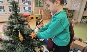 Sówki: Grudzień 2025 - Zdjęcie 233