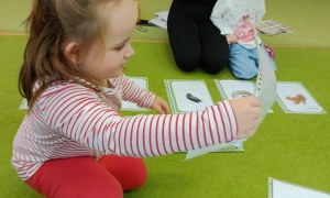 Sówki: Grudzień 2025 - Zdjęcie 234