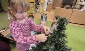 Sówki: Grudzień 2025 - Zdjęcie 235