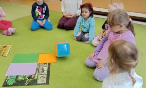 Sówki: Grudzień 2025 - Zdjęcie 236