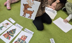 Sówki: Grudzień 2025 - Zdjęcie 238