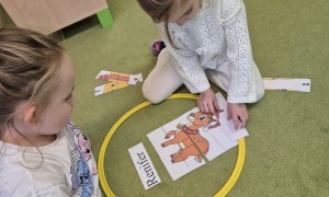 Sówki: Grudzień 2025 - Zdjęcie 241