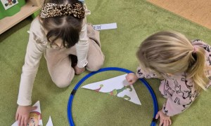 Sówki: Grudzień 2025 - Zdjęcie 246