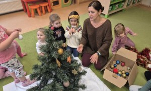 Sówki: Grudzień 2025 - Zdjęcie 248