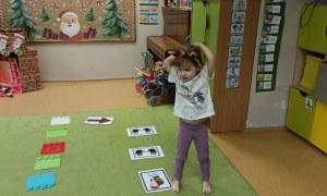 Sówki: Grudzień 2025 - Zdjęcie 249