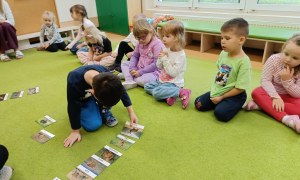 Sówki: Grudzień 2025 - Zdjęcie 250