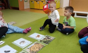 Sówki: Grudzień 2025 - Zdjęcie 253