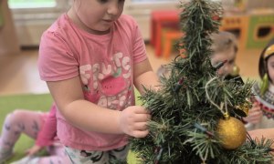 Sówki: Grudzień 2025 - Zdjęcie 262