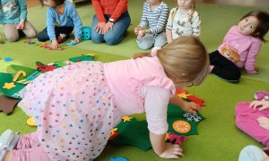 Sówki: Grudzień 2025 - Zdjęcie 3