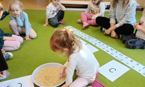 Sówki: Grudzień 2025 - Zdjęcie 7