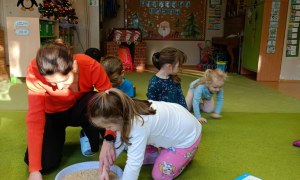 Sówki: Grudzień 2025 - Zdjęcie 8