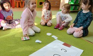 Sówki: Grudzień 2025 - Zdjęcie 10