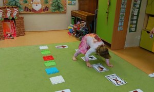 Sówki: Grudzień 2025 - Zdjęcie 12