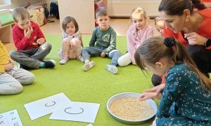 Sówki: Grudzień 2025 - Zdjęcie 16