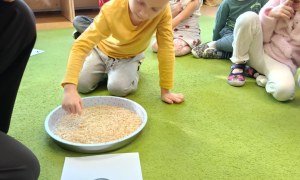 Sówki: Grudzień 2025 - Zdjęcie 19