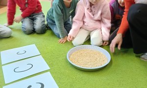 Sówki: Grudzień 2025 - Zdjęcie 22