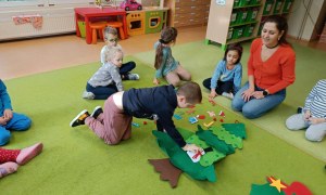 Sówki: Grudzień 2025 - Zdjęcie 34