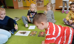 Sówki: Grudzień 2025 - Zdjęcie 39